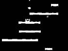 H:74